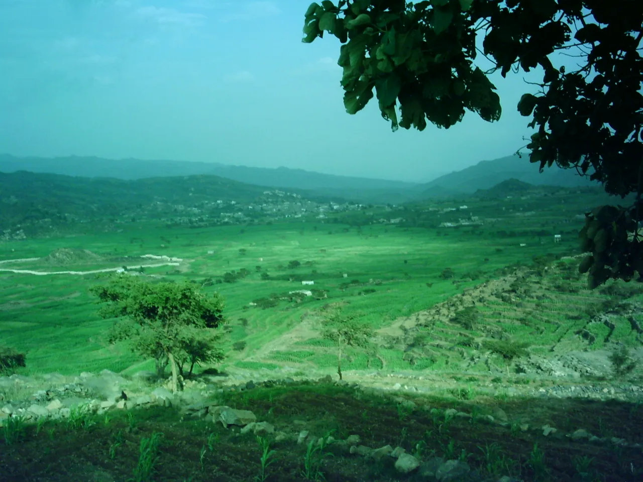 Dr Jamal uploaded visual archive 7