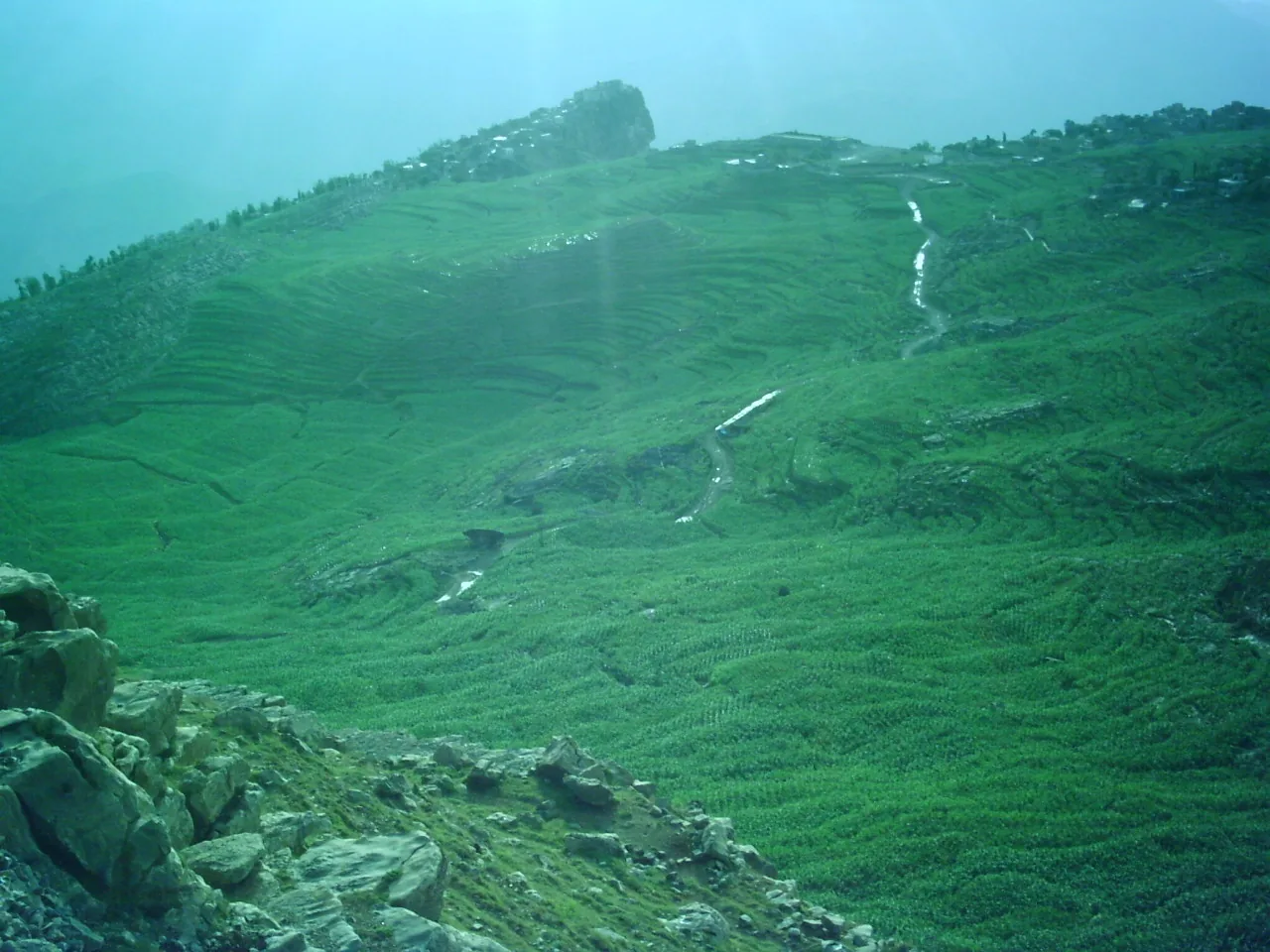 Dr Jamal uploaded visual archive 12